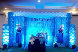 Frozen theme birthday decoration 5